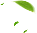 青州市亦點(diǎn)農(nóng)業(yè)科技有限公司介紹